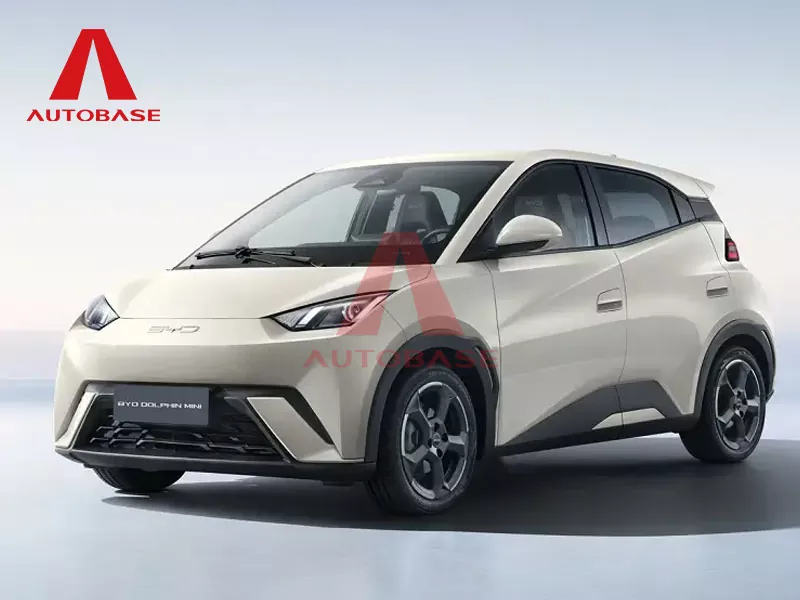 Byd gaviota